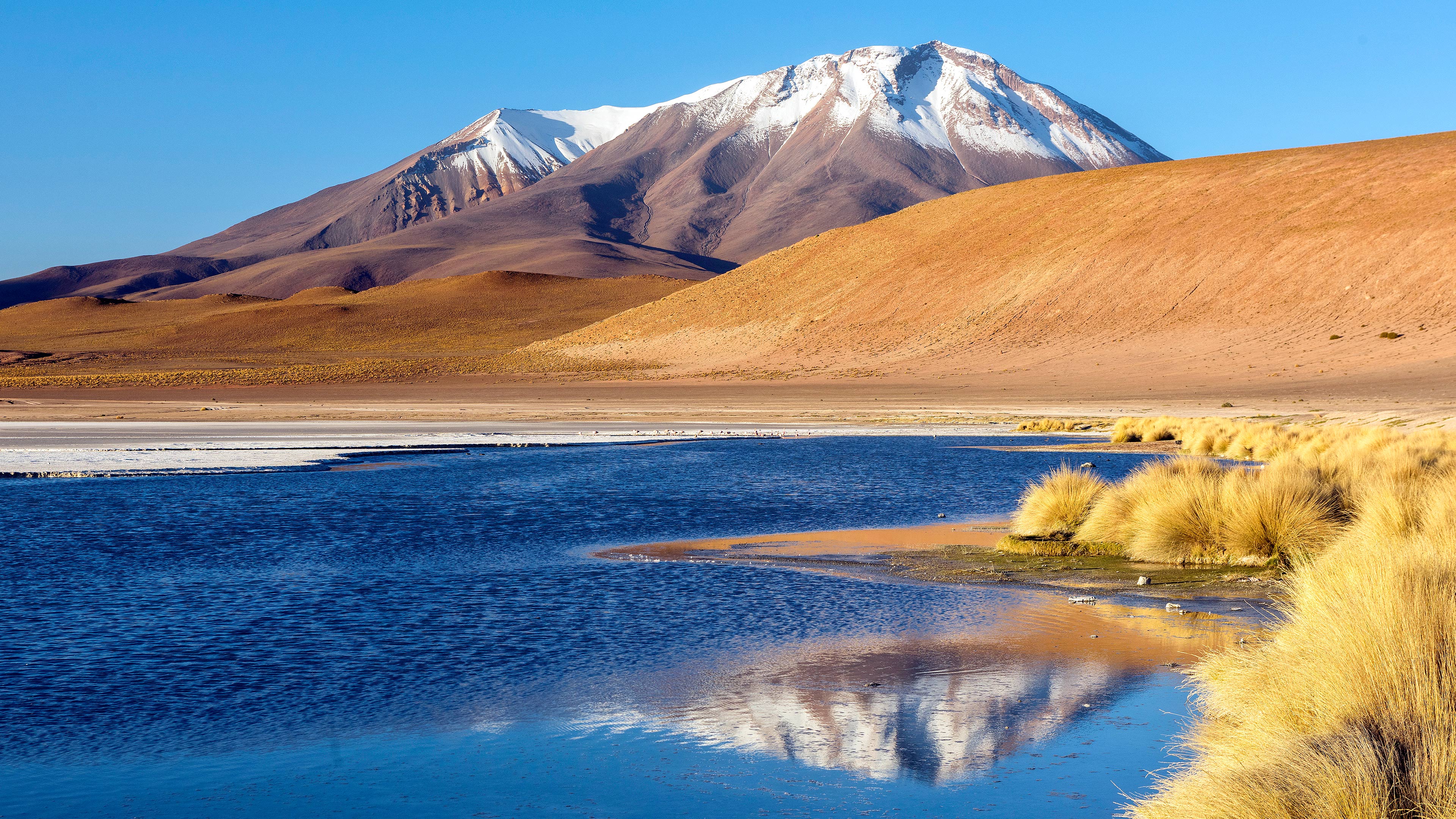 Genesis Energy to invest $500m in clean energy projects in Katsina